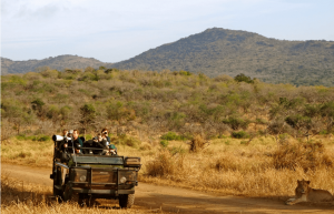 South Africa - The Big 5 Wildlife Reserve in the Greater Kruger Area4