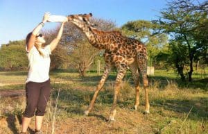 South Africa - Wildlife Rehabilitation Center11