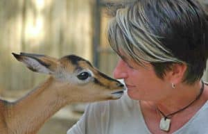 South Africa - Wildlife Rehabilitation Center12