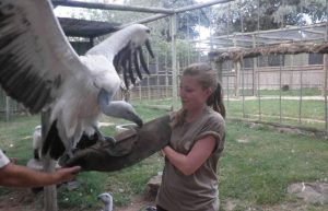 South Africa - Wildlife Rehabilitation Center14