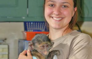 South Africa - Wildlife Rehabilitation Center9