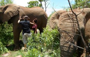 South Africa - Wildlife Sanctuary29