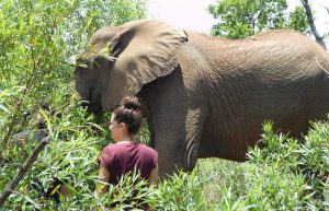 South Africa - Wildlife Sanctuary9