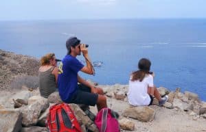 Spain - Canary Islands Dolphin and Whale Research13