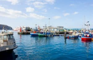 Spain - Canary Islands Dolphin and Whale Research42