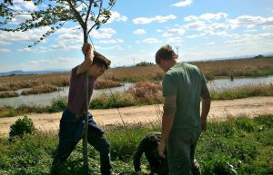 Spain - Conservation Projects in the Valencia Region17