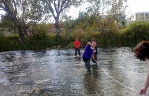 Spain - Conservation Projects in the Valencia Region20