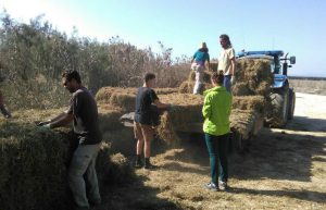 Spain - Conservation Projects in the Valencia Region31