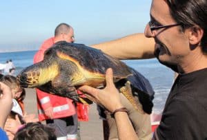 Spain - Conservation Projects in the Valencia Region4