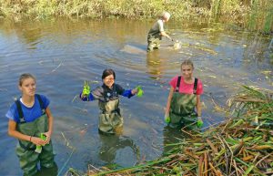 Spain - Conservation Projects in the Valencia Region5