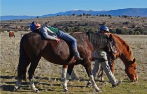 Spain - Wildlife Research and Ecological Farming15