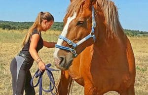 Spain - Wildlife Research and Ecological Farming2