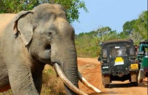 Sri Lanka - Adventure Tour2