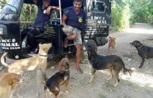 Sri Lanka - Dog Care and Veterinary Assistance14