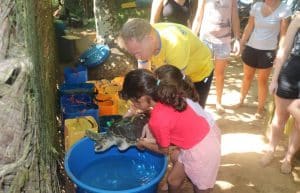 Sri Lanka - Family-Friendly Sea Turtle Rescue and Rehabilitation11