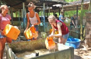 Sri Lanka - Family-Friendly Sea Turtle Rescue and Rehabilitation12