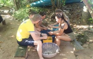 Sri Lanka - Family-Friendly Sea Turtle Rescue and Rehabilitation13