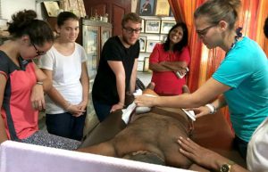 Sri Lanka - Medical and Nursing Program16