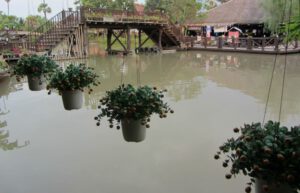 Thailand - Akha Hill Tribe Experience30
