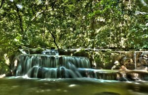 Thailand - Coastal Marine Conservation in Phang Nga13