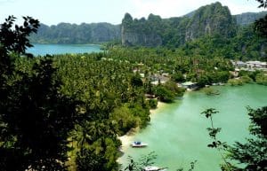 Thailand - Coastal Marine Conservation in Phang Nga5