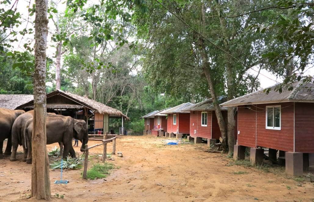Thailand - Elephant Forest Refuge - Accommodations2