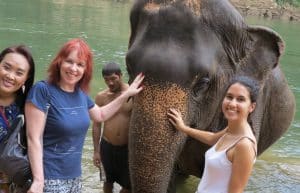 Thailand - Elephant Forest Refuge2