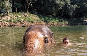 Thailand - Elephant Forest Refuge3