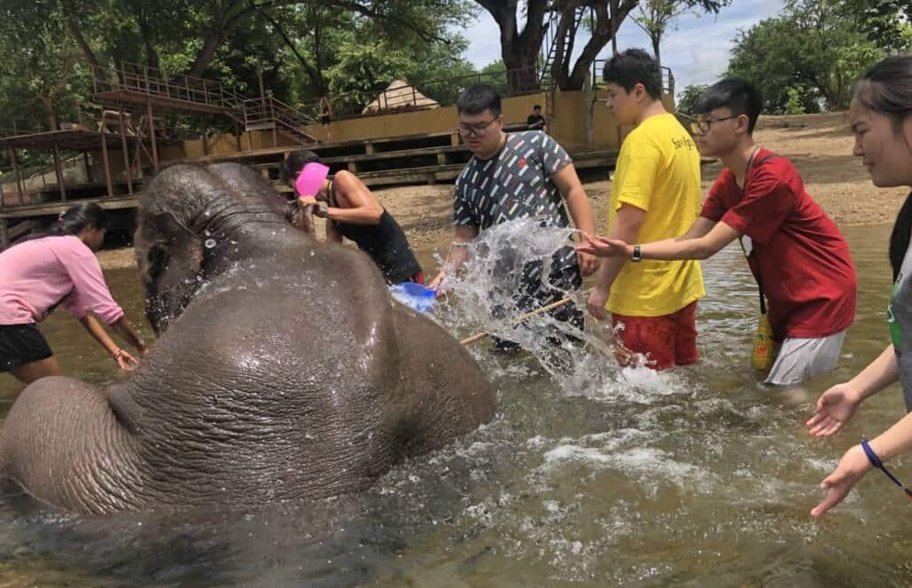 Thailand - Elephant Forest Refuge9