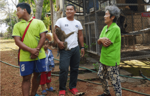 Thailand - Gibbon Primate Sanctuary6