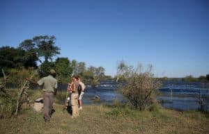 Zambia - Lion Rehabilitation and Conservation in Livingstone9