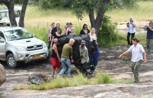 Zimbabwe - African Wildlife Orphanage26