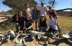 Zimbabwe - African Wildlife Orphanage31