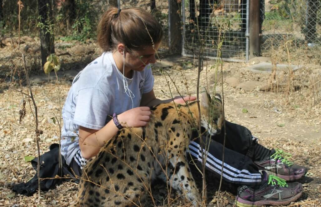 Zimbabwe - African Wildlife Orphanage4