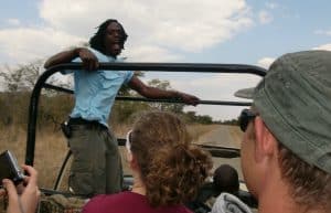 Zimbabwe - Lion Conservation in Victoria Falls11