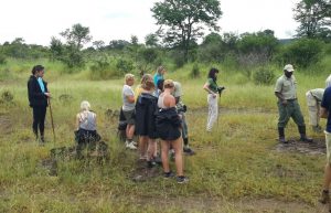 Zimbabwe - Lion Conservation in Victoria Falls20