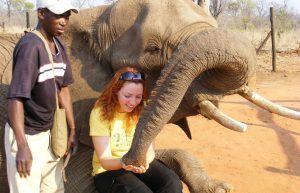 Zimbabwe - Lion Conservation in Victoria Falls9