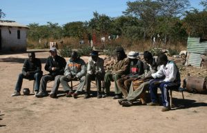 Zimbabwe - Lion Rehabilitation in Antelope Park7