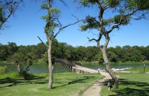 Zimbabwe - Teaching and Lion Rehabilitation in Antelope Park15