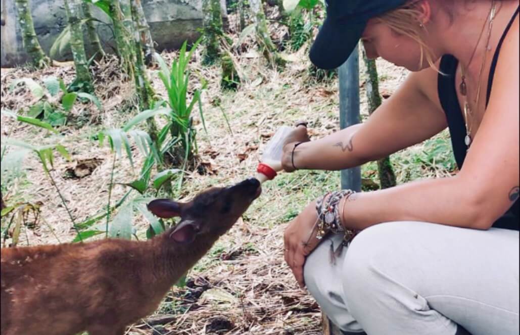 Lisa's Wildlife Rescue Center Experience in Ecuador