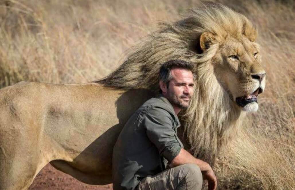 Kevin Richardson - Who is the Lion Whisperer of South Africa?