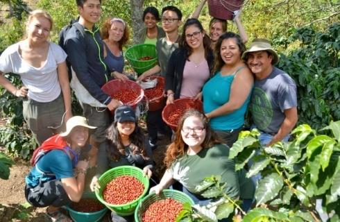 Costa-Rica-sustainable-organic-coffee-farming-main1