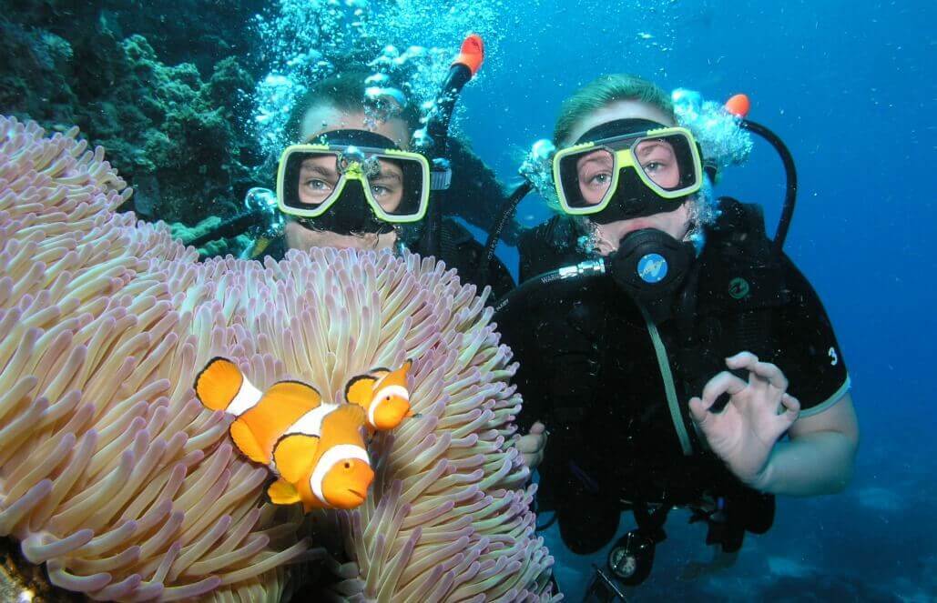 Save the Great Barrier Reef in Australia, How Can You Help?