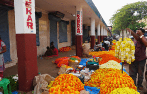 india-family-friendly-teaching-and-community-work-in-goa14