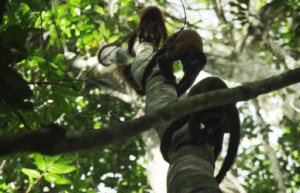 peru-amazon-wildlife-rescue-care-and-release-sanctuary1