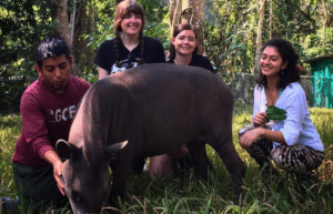 peru-amazon-wildlife-rescue-care-and-release-sanctuary21