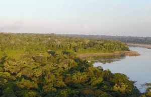 peru-amazon-wildlife-rescue-care-and-release-sanctuary40