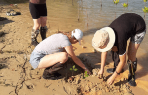 thailand-community-and-environment-program-for-teenagers20