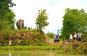 thailand-new-elephant-forest-refuge1