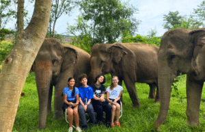 thiland-elephants-and-community-building-for-teenagers13